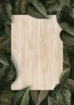 Коврик для ванной Mijolnir