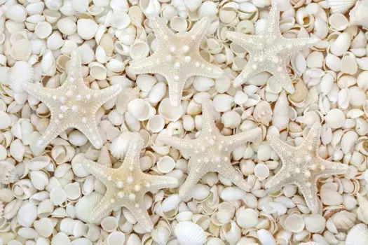 Коврик для ванной Mijolnir