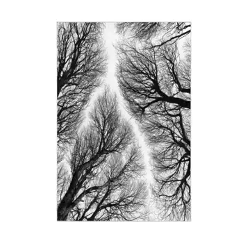 Коврик для ванной Mijolnir, цвет Bunt