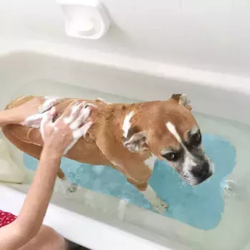 Коврик для ванной YZL, прозрачный