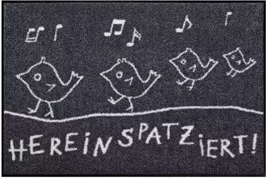 Коврик Salonloewe, прямоугольный 50х75 см, цвет anthrazit-ecru