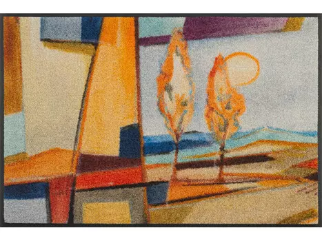 Коврик wash+dry, 50x75 см, многоцветный