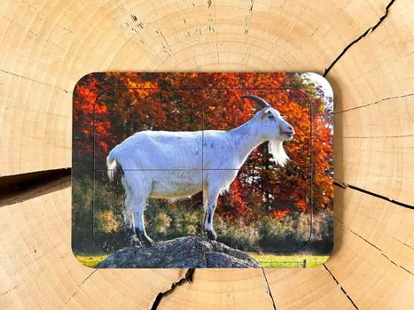 Коза, деревянный пазл с четырьмя элементами, основа с подписью, первый пазл Inna marka