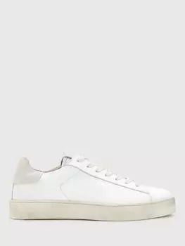 Кожаные кроссовки shana AllSaints, белый