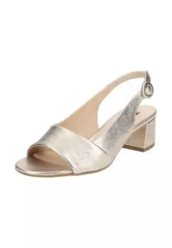 Кожаные туфли Hogl, цвет Bronze