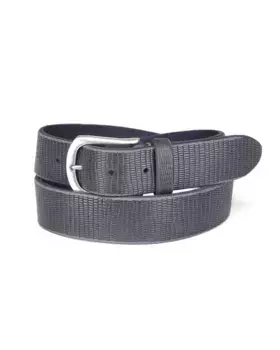 Кожаный ремень JCC, синий