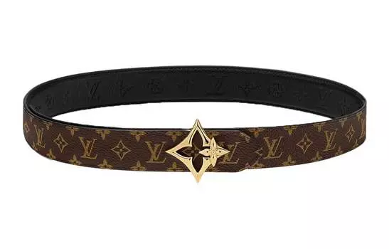 Ремень унисекс Louis Vuitton, коричневый