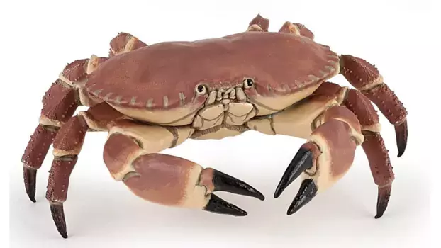 Краб