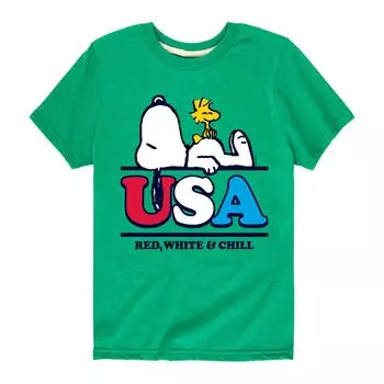 Красно-белая футболка Peanuts USA для мальчиков 8–20 лет Licensed Character, зеленый