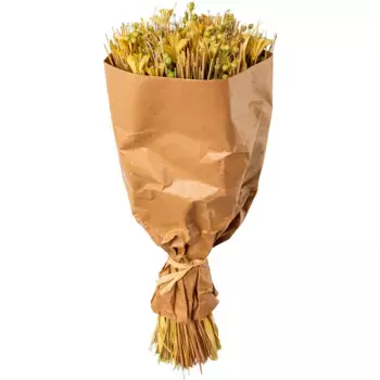 Креатив для дома из сухоцветов «букет из сухоцветов» Creativ Home, зеленый