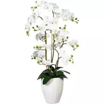 Креатив зеленая искусственная орхидея «Декоративная орхидея Фаленопсис XL в керамическом горшке» Creativ Green, белый