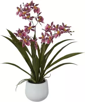 Креатив зеленая искусственная орхидея "Гамбия", в керамическом горшке Creativ green 50 см, темно-розовый
