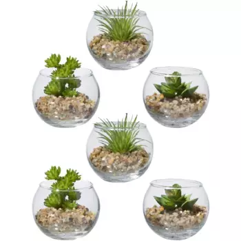 Креатив зеленые искусственные растения «Суккуленты», в наборе, в стеклянной банке Creativ Green, зеленый