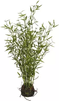 Креатив зеленый Искусственное комнатное растение "Бамбук в моховом комке" Creativ green 60 см, зеленый