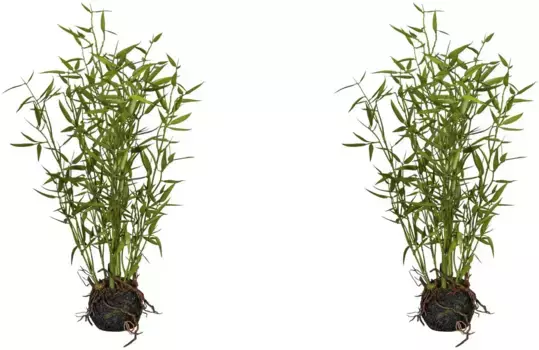 Креатив зеленый Искусственное комнатное растение "Бамбук в моховом комке" Creativ green 42 см, зеленый