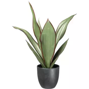 Креатив зеленый Искусственное комнатное растение «Сансевиерия Черный бриллиант» с зелено-красными листьями Creativ Green