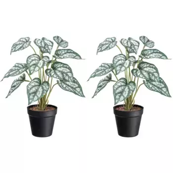 Креатив зеленый Искусственное комнатное растение «Сингониум» с зелено-белыми листьями Creativ Green