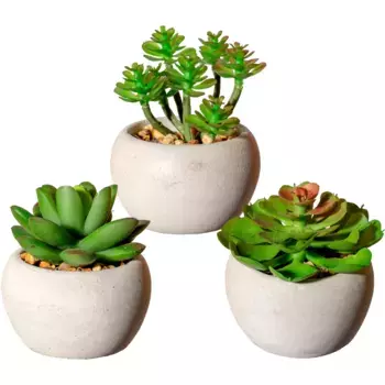 Креатив зеленый Искусственное комнатное растение «Суккуленты» Creativ Green