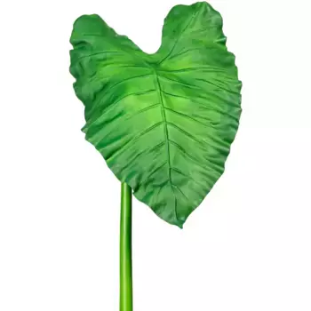 Креативная зеленая искусственная ветка «Лист каллы» Creativ Green, зеленый