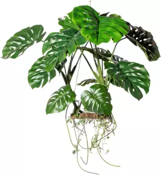 Креативное зеленое искусственное дерево "подвесной объект Сплитфилодендрон" Creativ green 90х100 см, зеленый