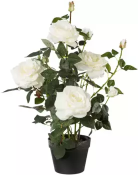 Креативное зеленое искусственное комнатное растение Creativ green 68 см, белый