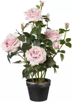 Креативное зеленое искусственное комнатное растение Creativ green 68 см, розовый