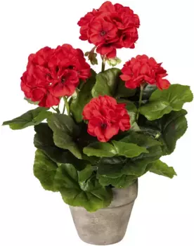 Креативное зеленое искусственное растение "куст герани", в цементном горшке Creativ green 18х34 см, красный