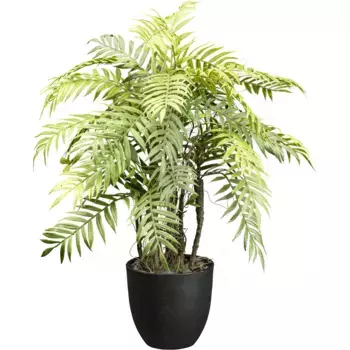 Креативное зеленое искусственное растение «Папоротник» с декоративным гравием Creativ Green, зеленый