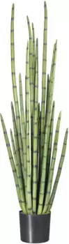 Креативное зеленое искусственное растение "Сансевиерия" Creativ green 140 см, зеленый