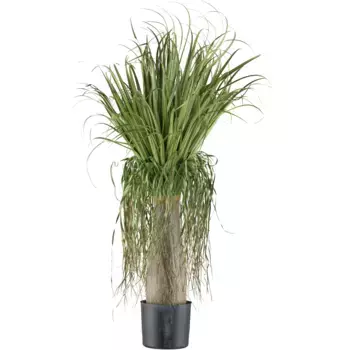 Креативное зеленое искусственное растение «слоновья лапка» с многочисленными листьями Creativ Green, зеленый