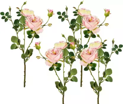 Креативные зеленые искусственные цветы, набор из 4 штук Creativ green Высота: 63 см, розовый