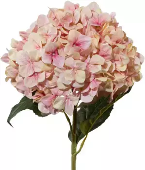 Креативный зеленый искусственный цветок Creativ green Высота: 111 см, розовый