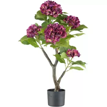 Креативный зеленый искусственный цветок «гортензия» с живыми цветами Creativ Green