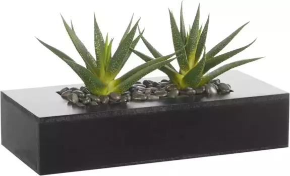 Креативный зеленый искусственный кактус Creativ green 36х16 см, зеленый