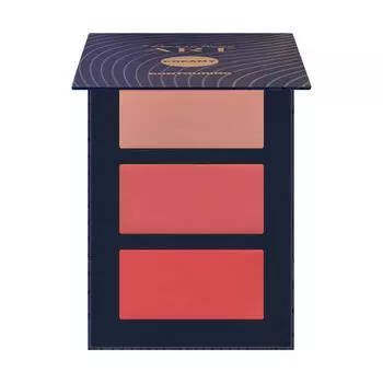 Кремовая палитра для контурирования лица 01, 12 г Pierre Ren Professional Cream contouring art.