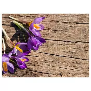 Крокусы на деревянной подставке для столовых приборов (набор из 12 шт.) Tischsetmacher, мультколор