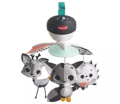 Крошечная любовь, Путешествующая карусель, Волшебная страна Tiny Love