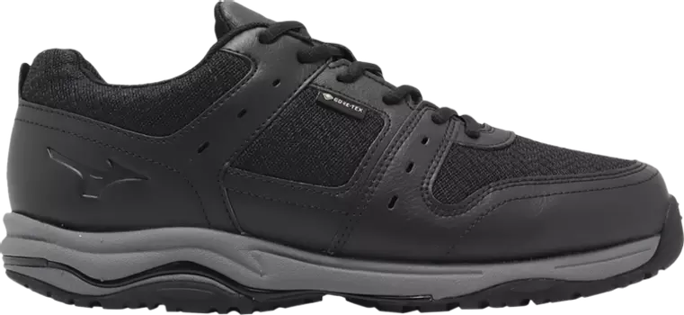 Кроссовки 0D100 GORE-TEX 8 'Black', черный