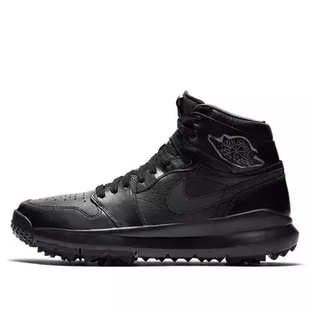 Кроссовки 1 гольф премиум Air Jordan, черный