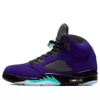 Кроссовки 5 retro 'alternate grape' Air Jordan, мультиколор