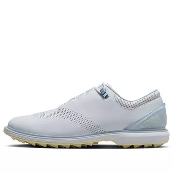 Кроссовки adg 4 golf 'grey alabaster' Air Jordan, серый