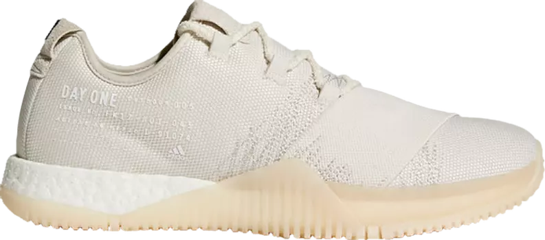 Кроссовки Adidas Crazy Train 'Day One', загар