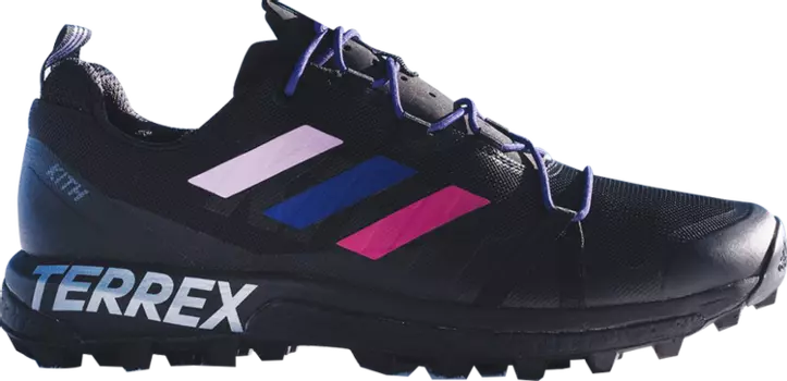 Кроссовки Adidas Kith x Terrex Skychaser 'Superstorm', черный