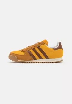 Кроссовки adidas Originals ALLTEAM UNISEX, цвет preloved yellow/preloved brown/off white