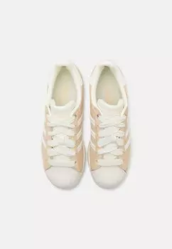Кроссовки adidas Originals, кремово-белые/песчаные слои/обувь белая Superstar