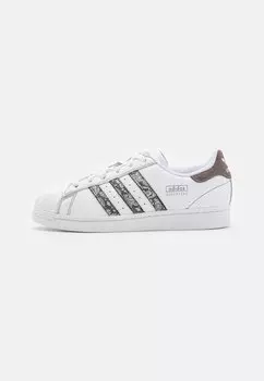 Кроссовки adidas Originals SUPERSTAR, цвет footwear white/charcoal