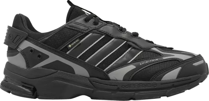 Кроссовки Adidas Spiritain 2000 GORE-TEX, черный