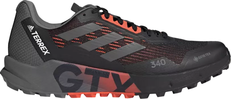 Кроссовки Adidas Terrex Agravic 2.0 GTX 'Black Turbo', черный
