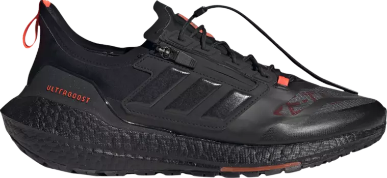 Кроссовки Adidas UltraBoost 21 GORE-TEX, черный