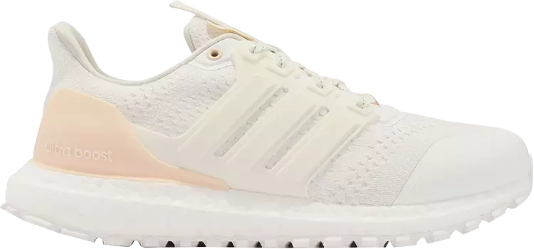 Кроссовки Adidas UltraBoost DNA Guard, белый